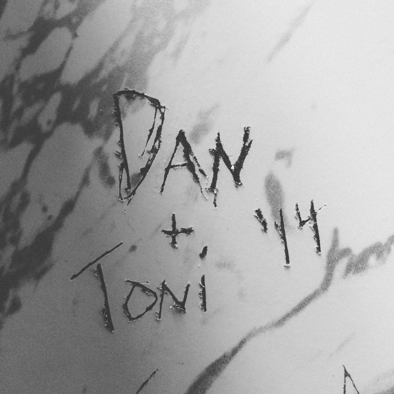 Dan and Toni 2014