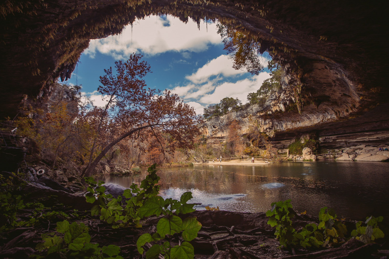 Hamilton Pool Cave Dripping Springs